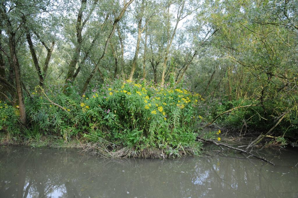 De Brabantse Biesbosch Hotell Werkendam Eksteriør bilde