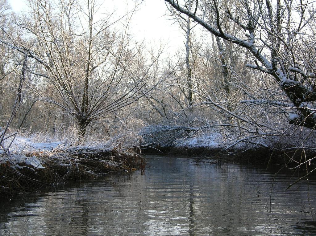 De Brabantse Biesbosch Hotell Werkendam Eksteriør bilde