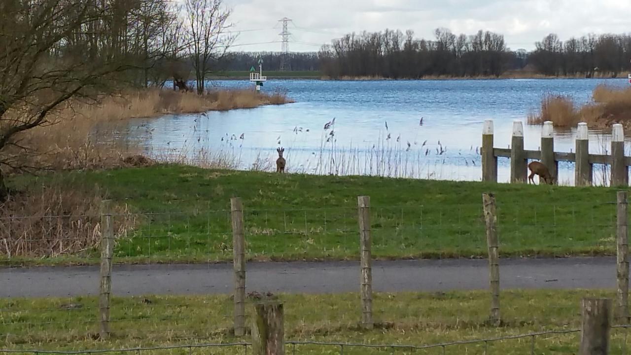 De Brabantse Biesbosch Hotell Werkendam Eksteriør bilde