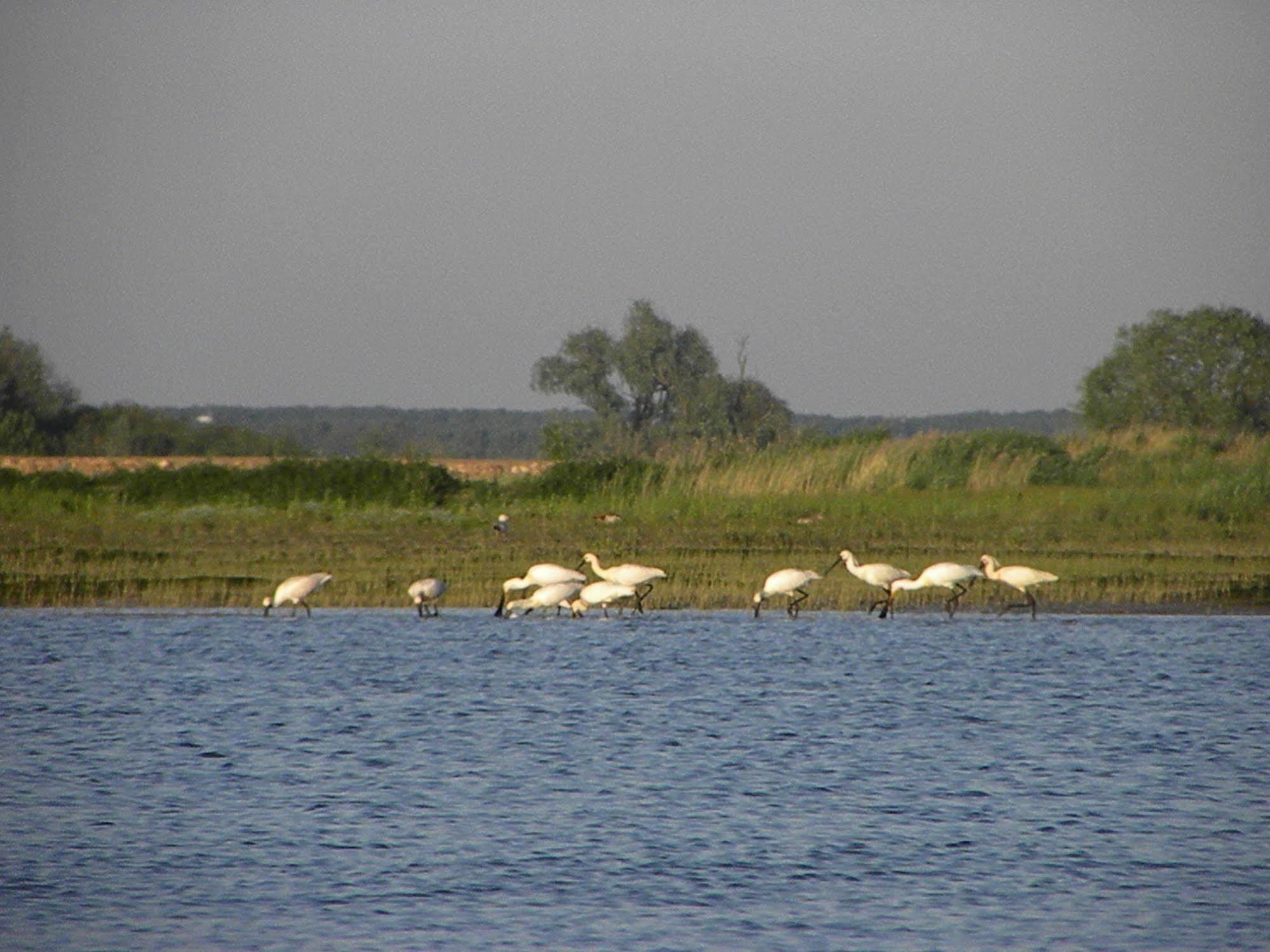 De Brabantse Biesbosch Hotell Werkendam Eksteriør bilde