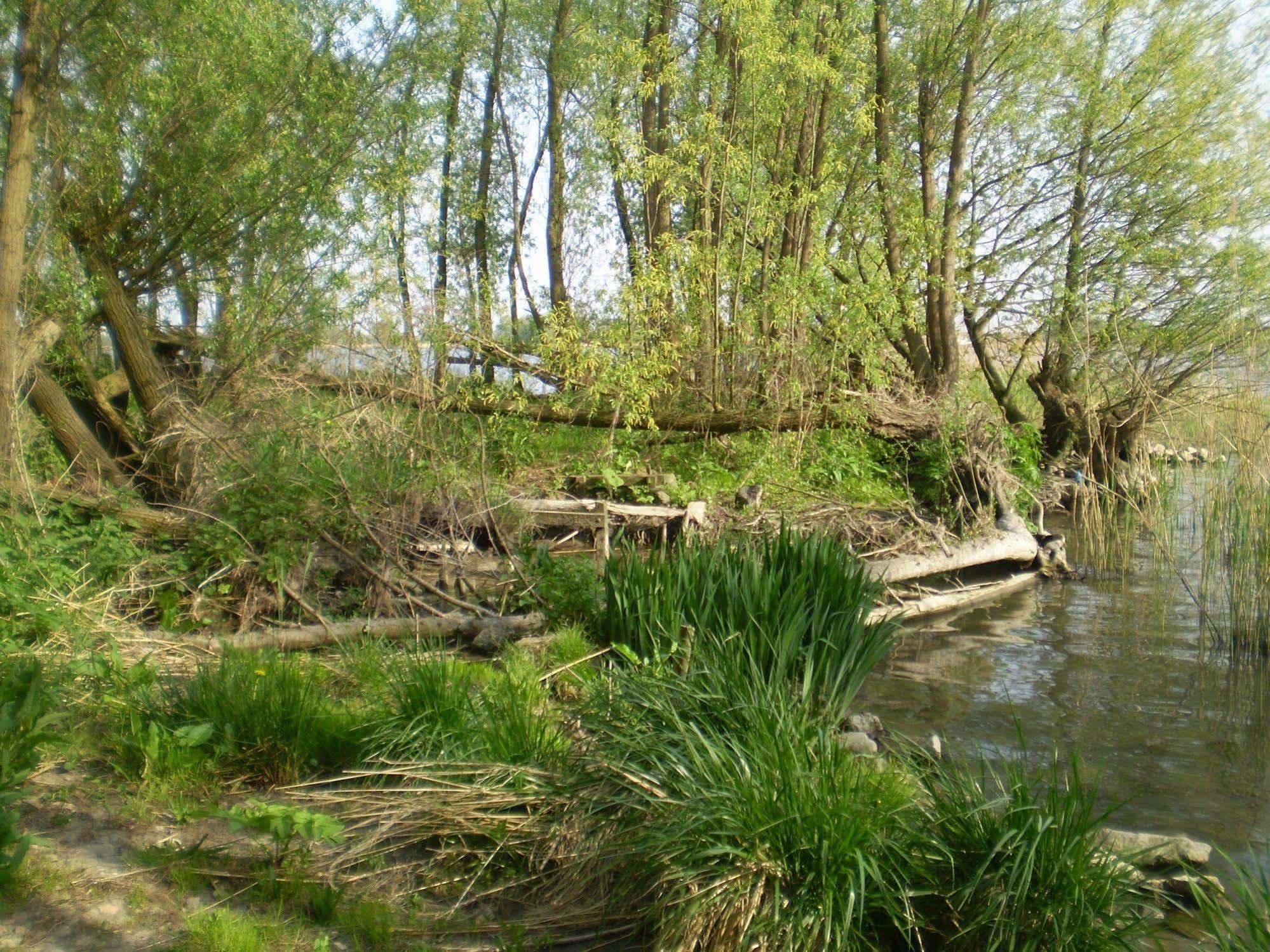 De Brabantse Biesbosch Hotell Werkendam Eksteriør bilde
